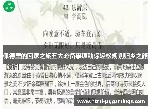 佩德里的回家之旅五大必备事项助你轻松规划归乡之路
