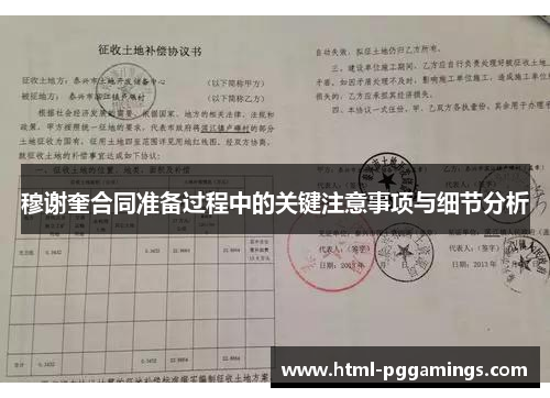 穆谢奎合同准备过程中的关键注意事项与细节分析