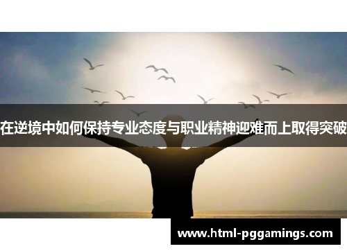 在逆境中如何保持专业态度与职业精神迎难而上取得突破