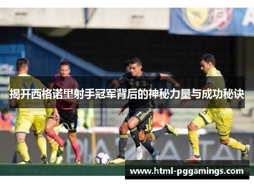 揭开西格诺里射手冠军背后的神秘力量与成功秘诀