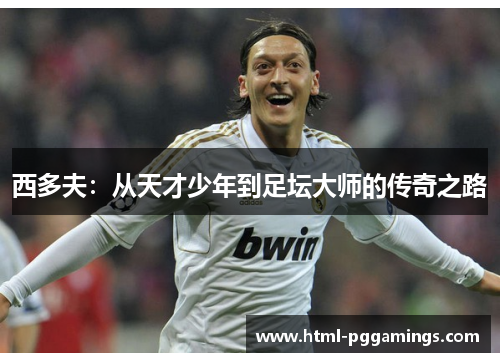 西多夫：从天才少年到足坛大师的传奇之路