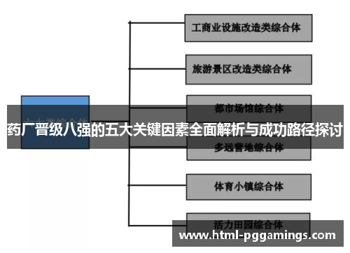 药厂晋级八强的五大关键因素全面解析与成功路径探讨