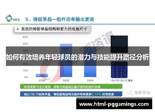 如何有效培养年轻球员的潜力与技能提升路径分析
