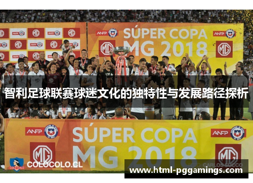 智利足球联赛球迷文化的独特性与发展路径探析