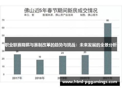 职业联赛降薪与赛制改革的趋势与挑战：未来发展的全景分析